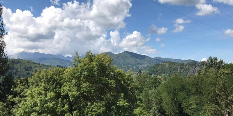 Tn IMG 20220201 WA0005