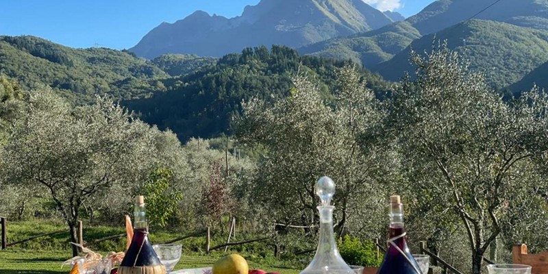 Tn PHOTO 2022 04 07 13 49 04Q