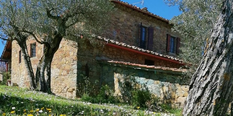 PHOTO 2023 01 19 16 51 25B