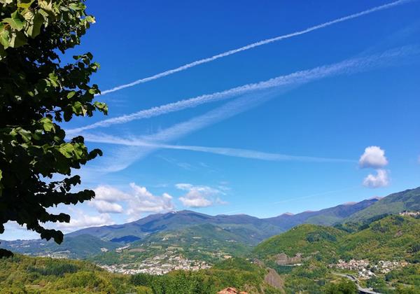 Tn IMG 20191005 121657