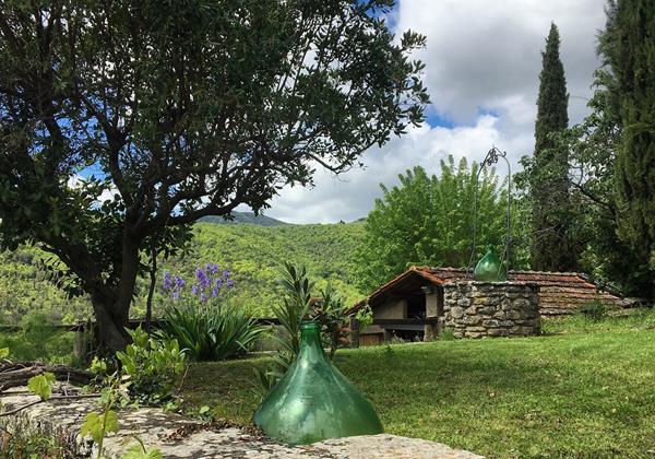 Tn 20190506 110830089 Ios