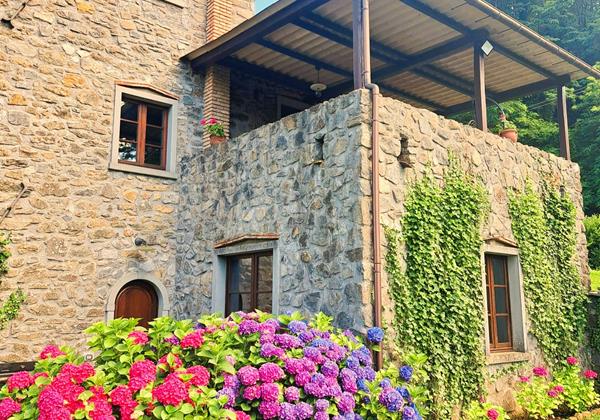 Tn IMG 20240706 WA0006 002