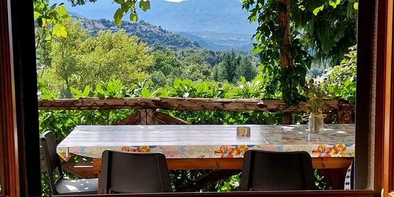 Tn PHOTO 2024 09 18 09 55 02D