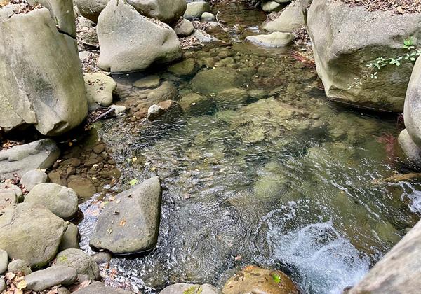 Tn Natural Plunge Pool
