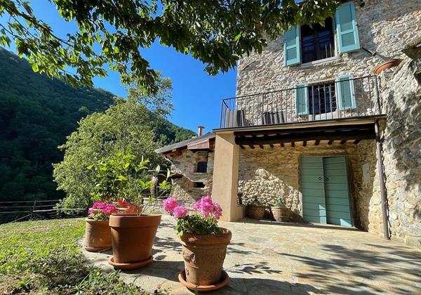 Tn Pizza Oven And Doors For Basement