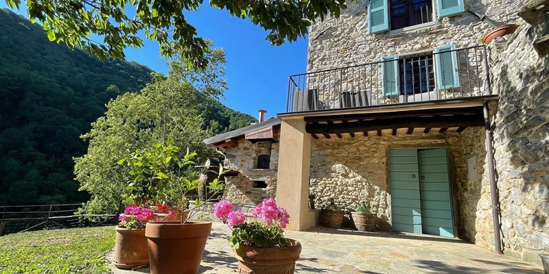 Tn Pizza Oven And Doors For Basement