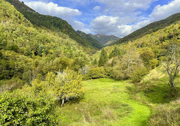 Tn Private Path Down To A Small Creek1