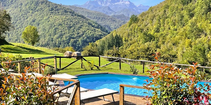 Tn Above Ground Pool