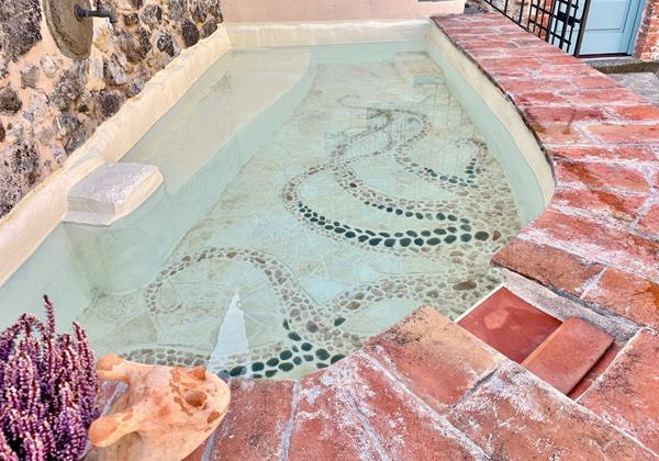 Tn Plunge Pool I Courtyard