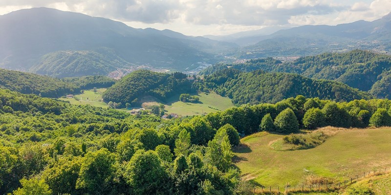 Tn DJI 20250722173640 0136 D