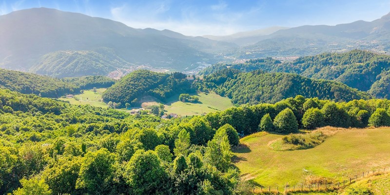 Tn DJI 20250722173640 0136 D