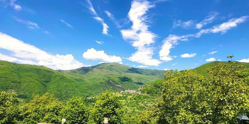 Tn 20260518 121016