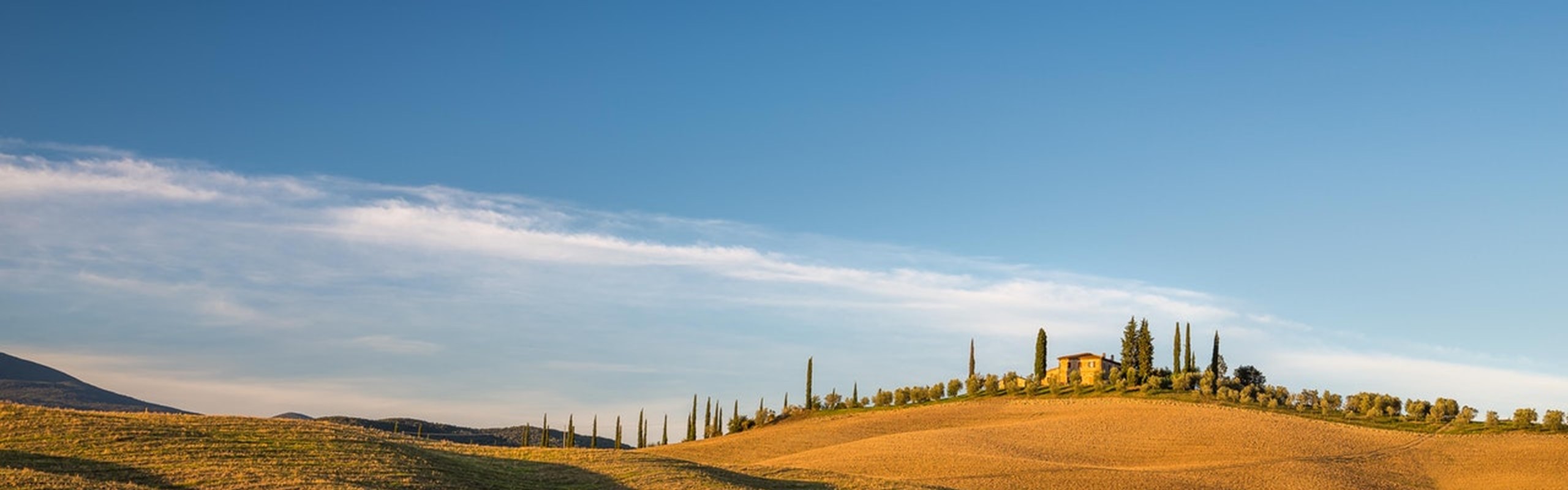 Green -grass -field -under -blue -sky -3591318