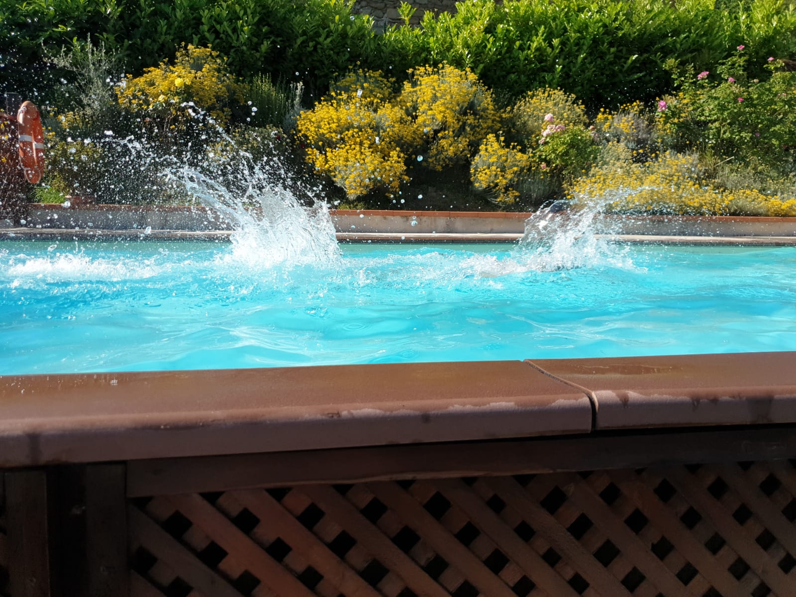 0F5318b2 59D7 485B B5fe 7Fdb00ac2aa4