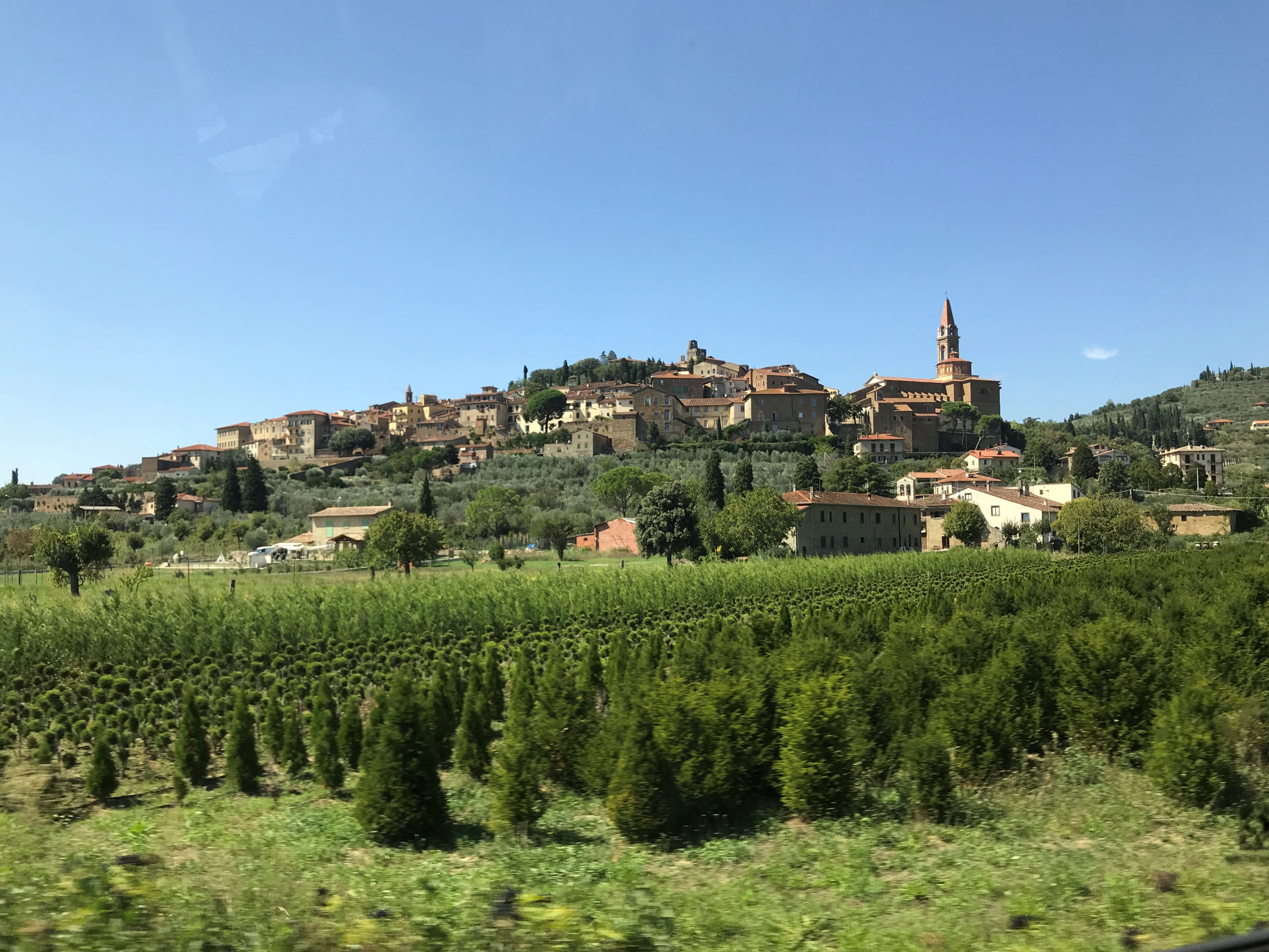 Arezzo IMG_1223 casteglion fiorentina.jpg