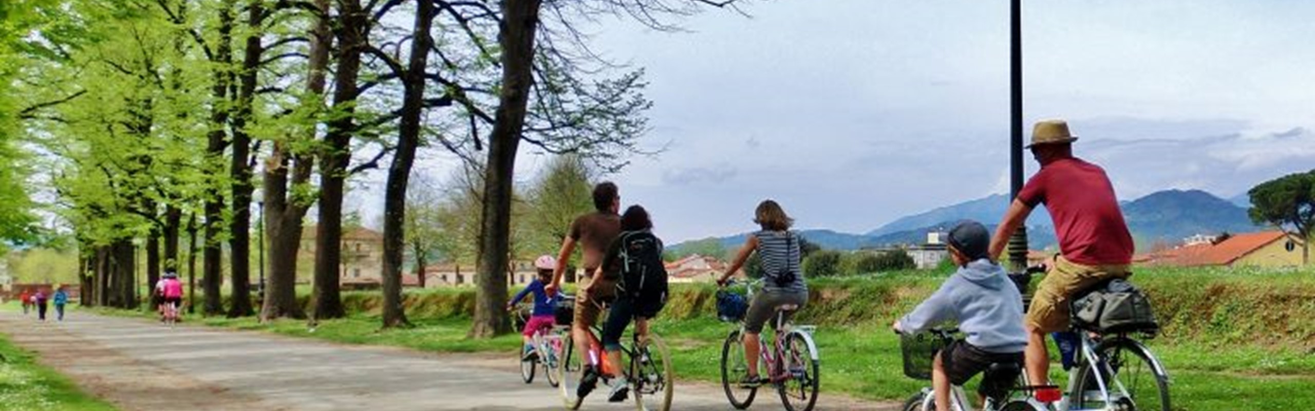 Lucca Biking On Walls Of Lucca Ramparts In Lucca Walled Town Tuscany 768X557